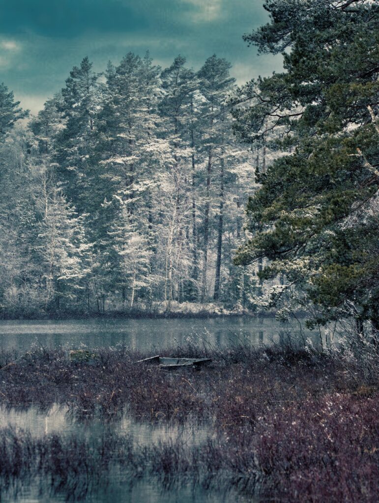 Vinterlandskap vid vatten, foto.