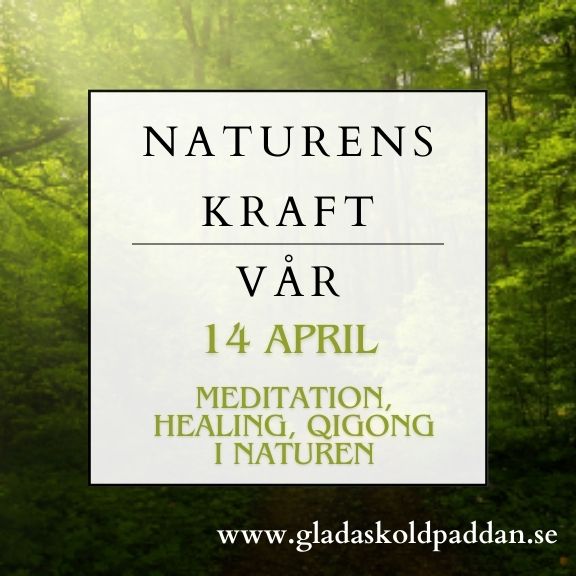 Naturens kraft vår, 14 april, meditation, healing, qigong. Träd.